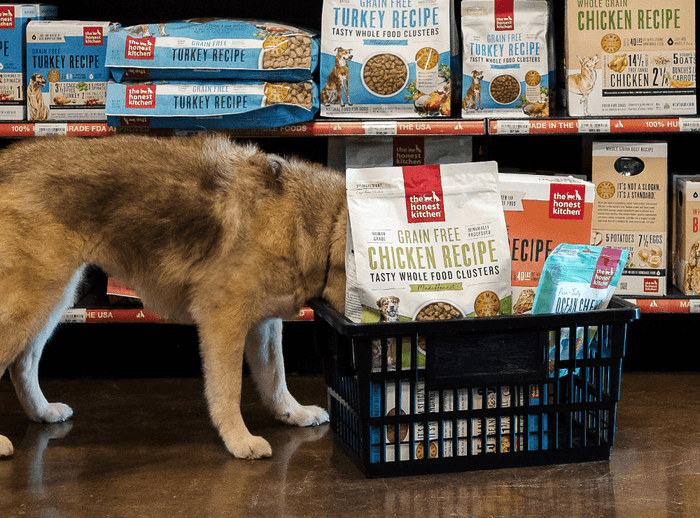 Dog with head in shopping basket full of The Honest Kitchen dog food and dog treats.