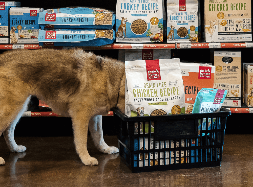 A dog with it's head in a shopping hand basket filled with The Honest Kitchen Products. In Store Rewards The Honest Kitchen.
