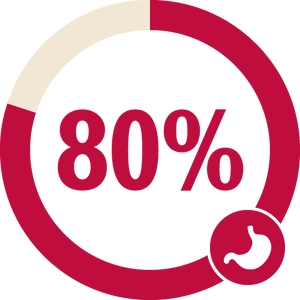 Stat that says "80%". why human grade the honest kitchen.