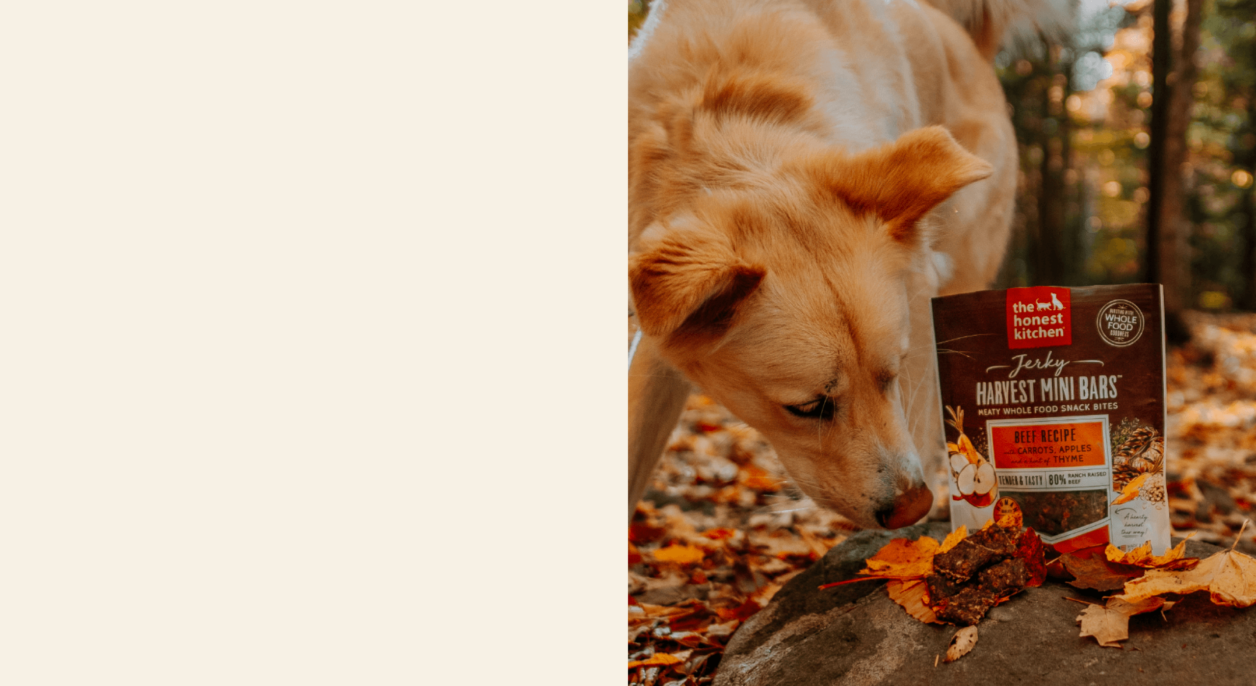 Dog sniffing a package of Harvest Mini Bars on a rock with a forest background. Healthy, High Quality, Human Grade Food for Dogs and Cats from The Honest Kitchen.
