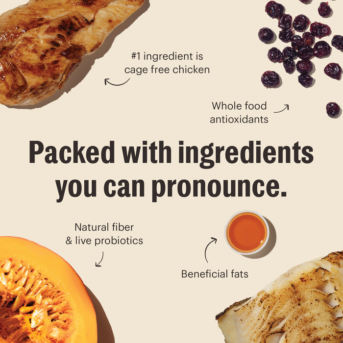 Chicken & Fish Whole Food Clusters Dry Cat Food from The Honest Kitchen