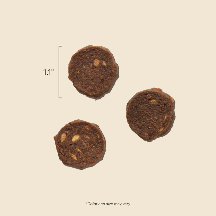 Gourmet Barbeque Liver Chips Meaty Dog Treats from The Honest Kitchen