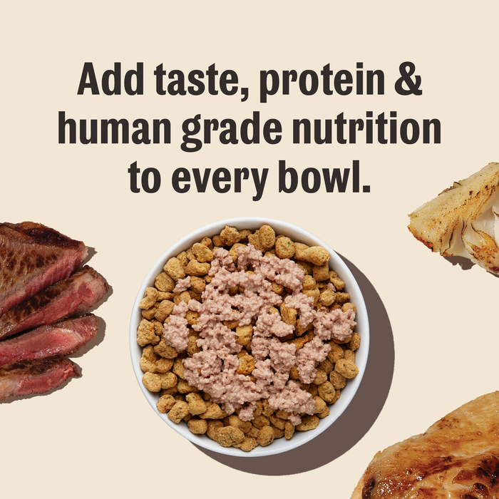 99% Meat High Protein Dog Food Toppers from The Honest Kitchen