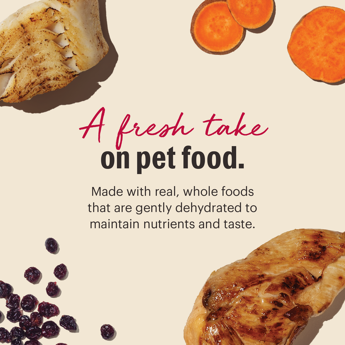 Chicken & Fish Dehydrated Cat Food from The Honest Kitchen
