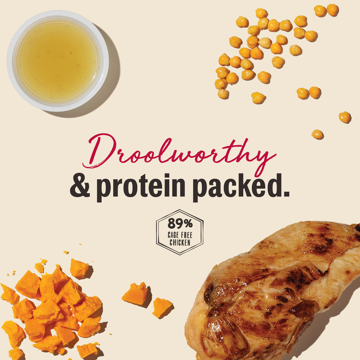 Gourmet Barbeque Liver Chips Meaty Dog Treats from The Honest Kitchen