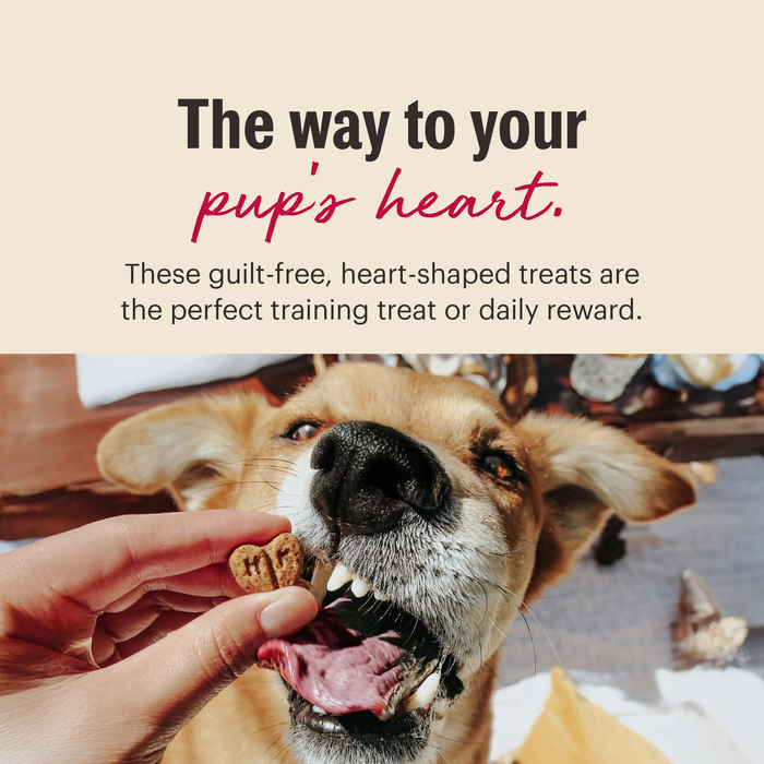 Parmesan Pecks Low Calorie Training Dog Treats from The Honest Kitchen