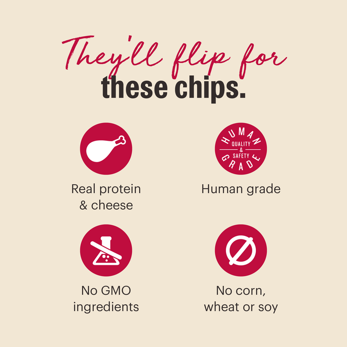 Gourmet Barbeque Liver Chips Meaty Dog Treats from The Honest Kitchen