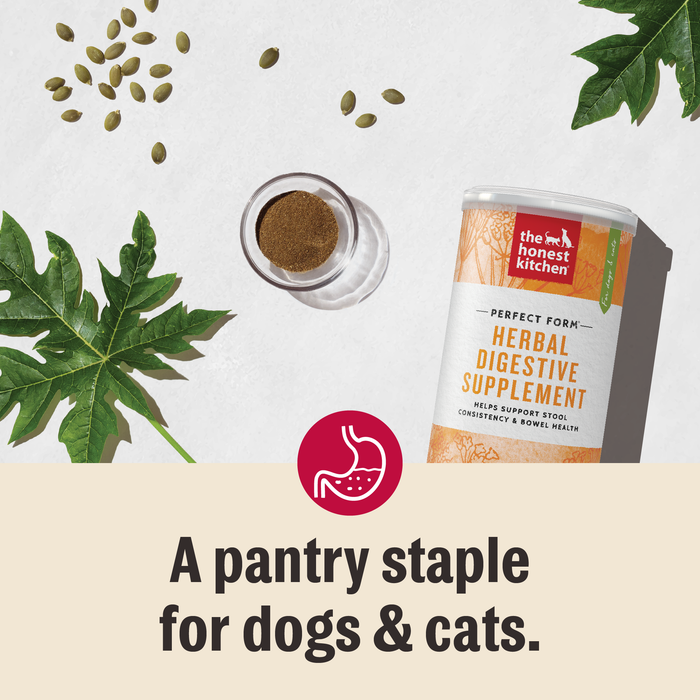Perfect Form Herbal Digestive Supplement for Dogs and Cats