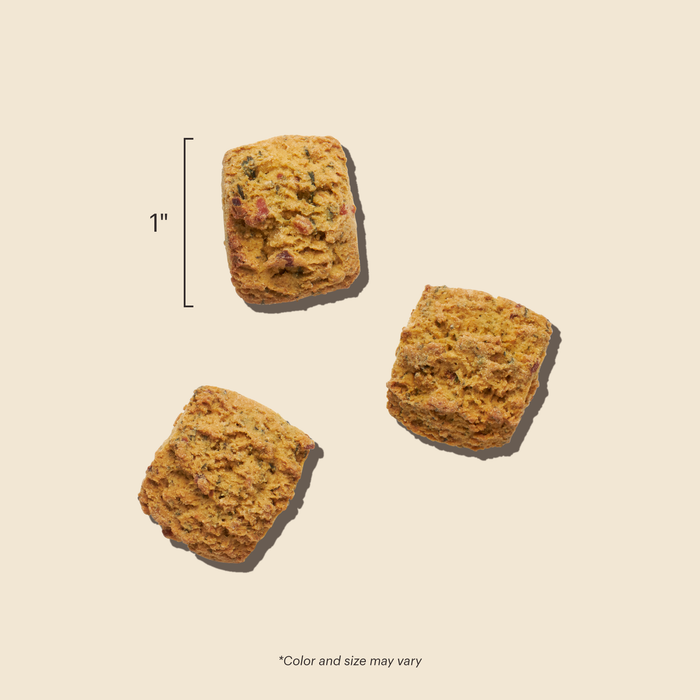 Bone Broth Bites Crunchy Dog Treats from The Honest Kitchen
