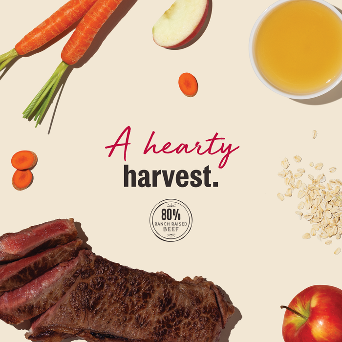 Jerky Harvest Mini Bars Meaty Dog Treats from The Honest Kitchen