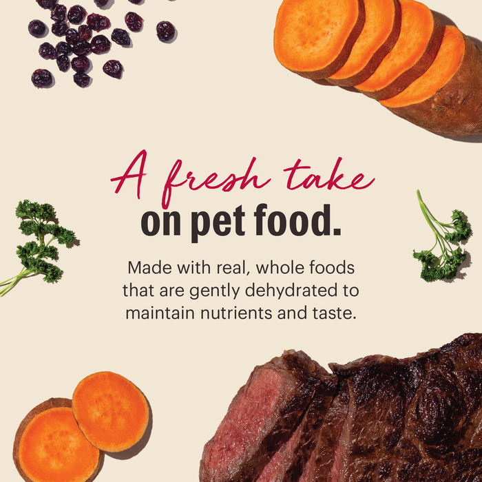 Grain Free Beef dehydrated dog food from The Honest Kitchen