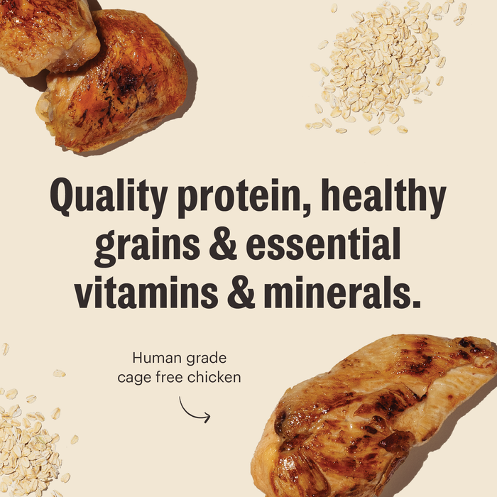 Whole Grain Chicken Essential Clusters Dry Dog Food from The Honest Kitchen