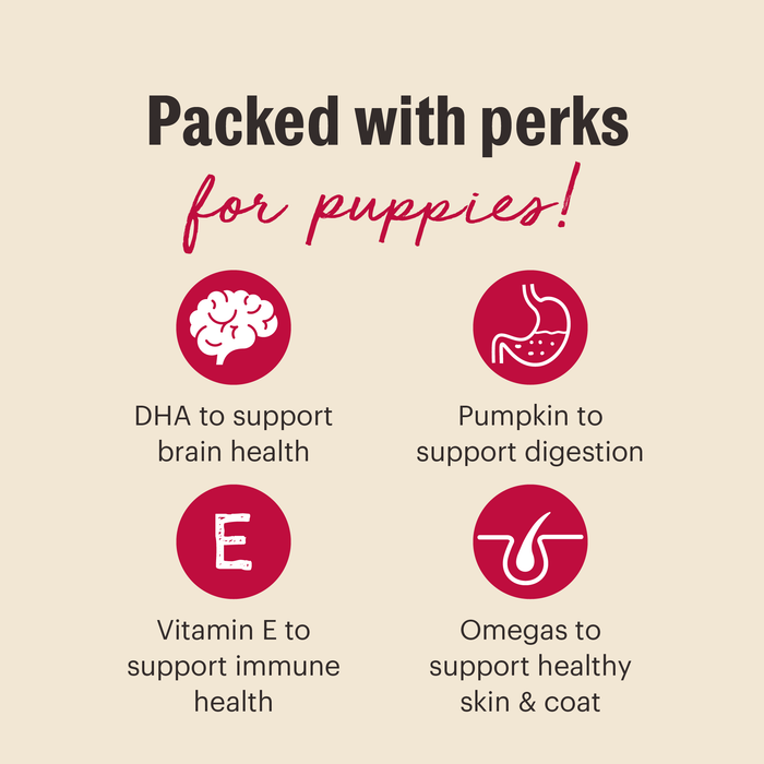 Meaty Littles Lamb & Salmon for Puppies Dog Training Treat