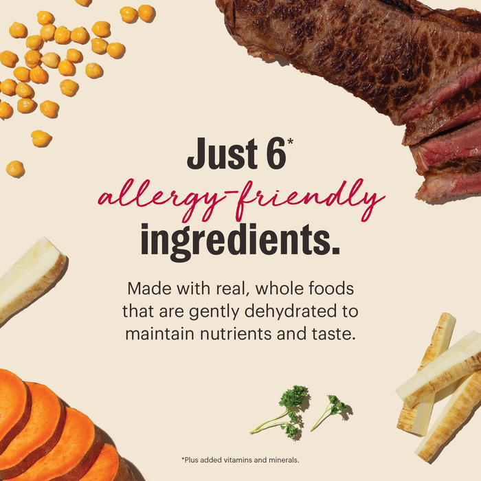 Limited Ingredient Beef dehydrated dog food from The Honest Kitchen