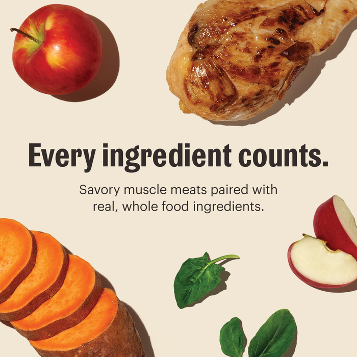 Chicken One Pot Stew Human Grade Wet Dog Food