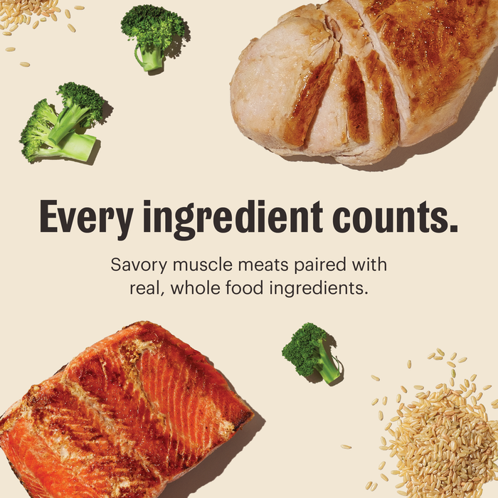 Salmon & Chicken One Pot Stew Human Grade Wet Dog Food