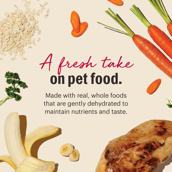 Whole Grain Chicken dehydrated dog food from The Honest Kitchen
