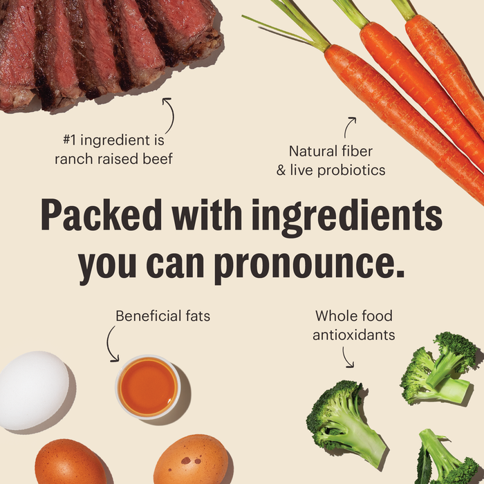 Grain Free Beef Whole Food Clusters Dry Dog Food from The Honest Kitchen