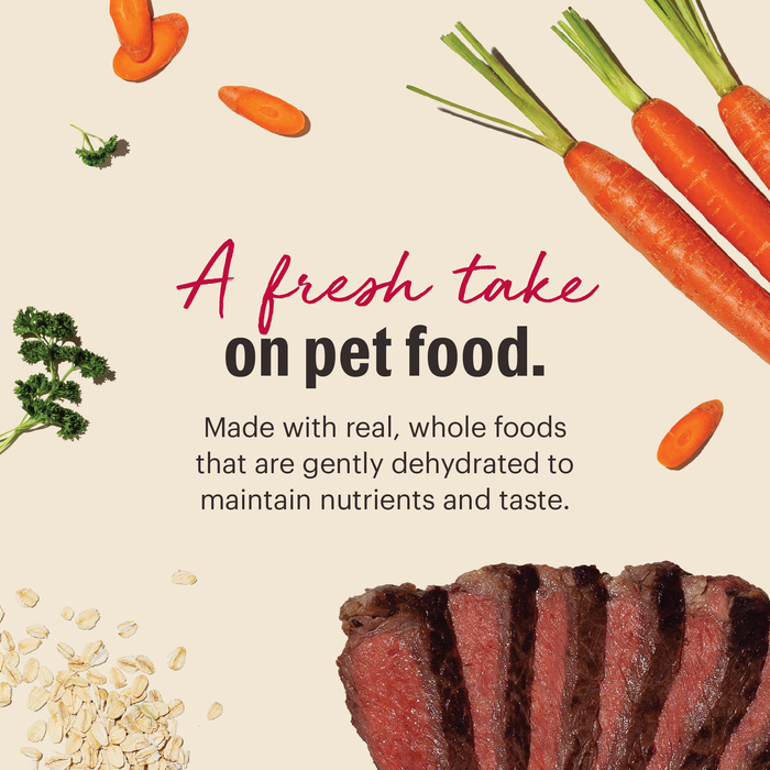Whole Grain Beef dehydrated dog food from The Honest Kitchen
