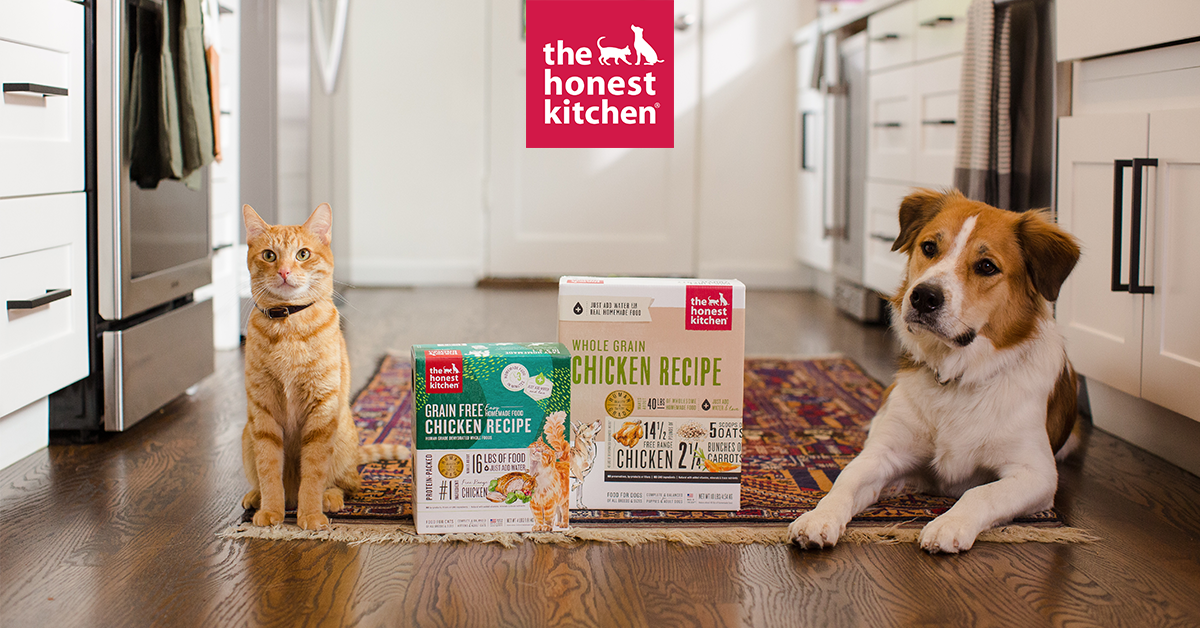 Honest kitchen freeze dried clearance dog food