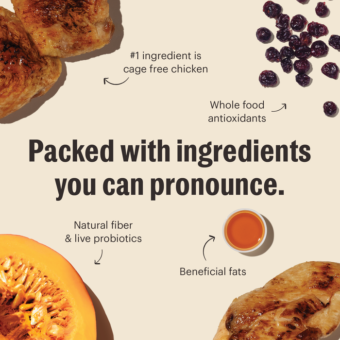 Chicken Whole Food Clusters Dry Cat Food from The Honest Kitchen