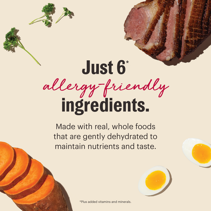 Limited Ingredient Duck dehydrated dog food from The Honest Kitchen