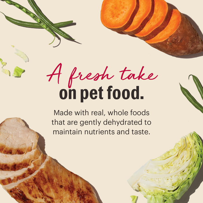 Grain Free Chicken dehydrated dog food from The Honest Kitchen