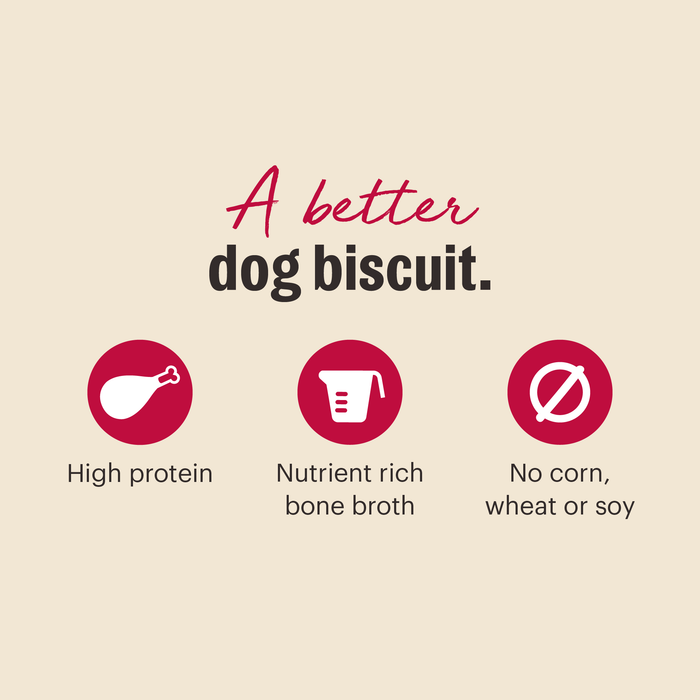 Bone Broth Bites Crunchy Dog Treats from The Honest Kitchen