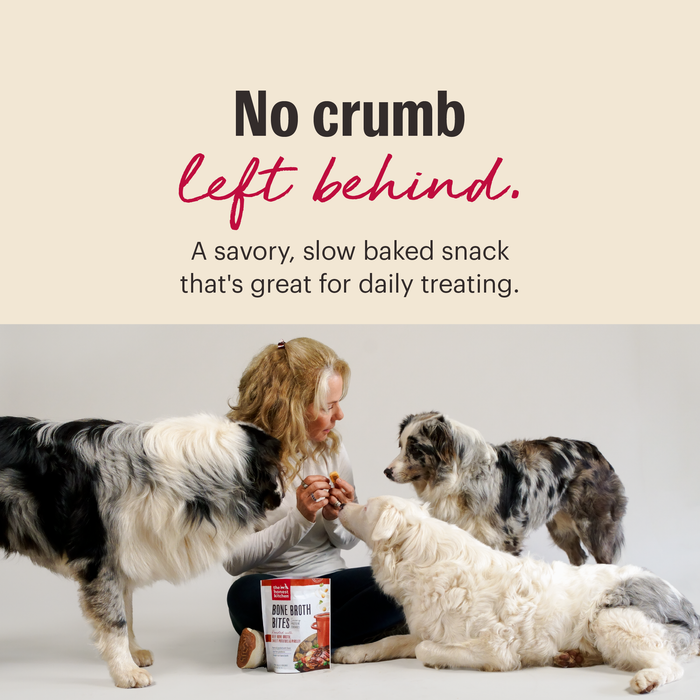 Bone Broth Bites Crunchy Dog Treats from The Honest Kitchen