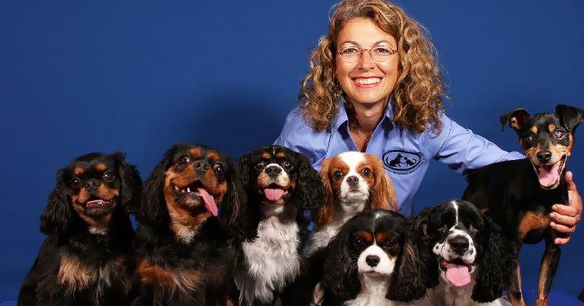 Interview with Dr Judy Morgan: How Food Therapy Can Be Used to Heal Your Pet