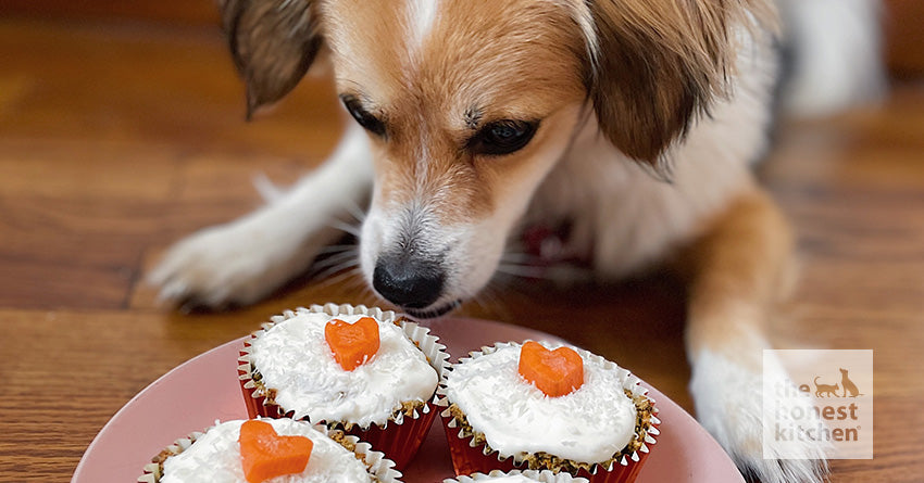 Carrot Cake Dog Muffins