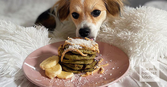 Banana Pancakes for Pups