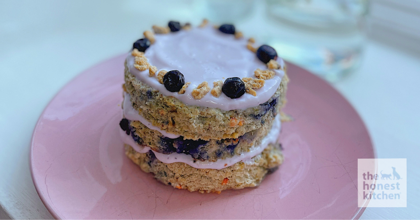 Blueberry & Chicken Cake For Dogs
