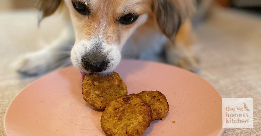 Fish Cake for Dogs