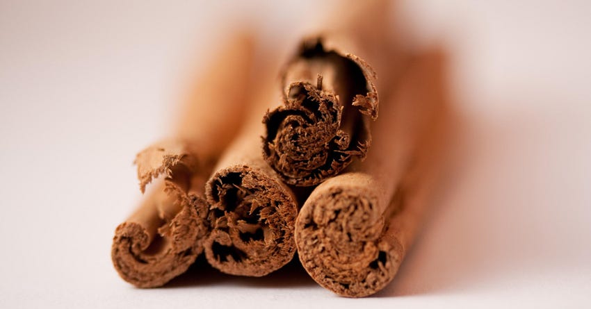 Can Dogs Eat Cinnamon? Benefits and How Much Is Too Much