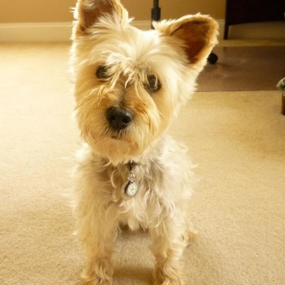 Abby