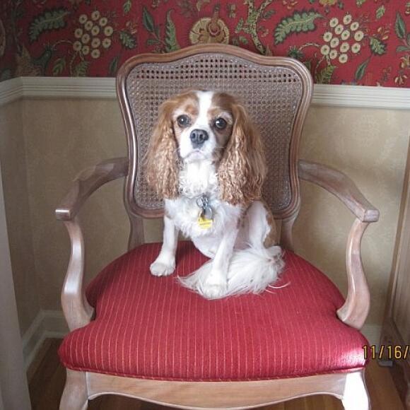 Barclay