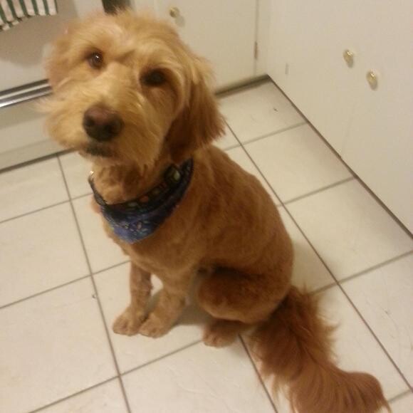 Chloe
