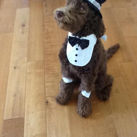 Baxter