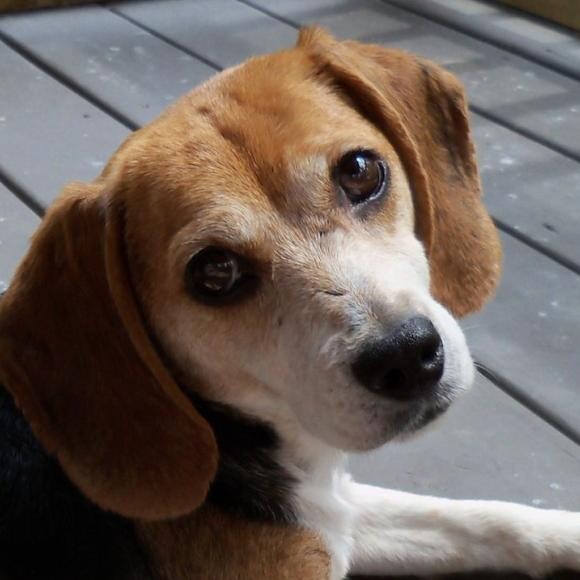 Minnie