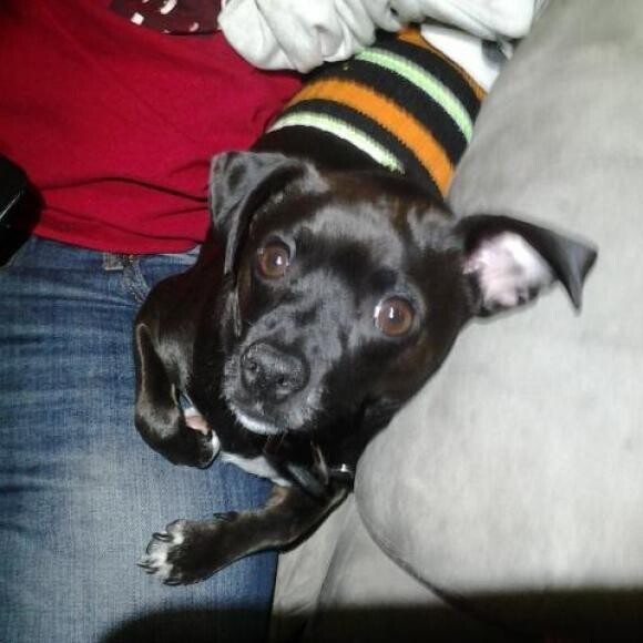 Coco