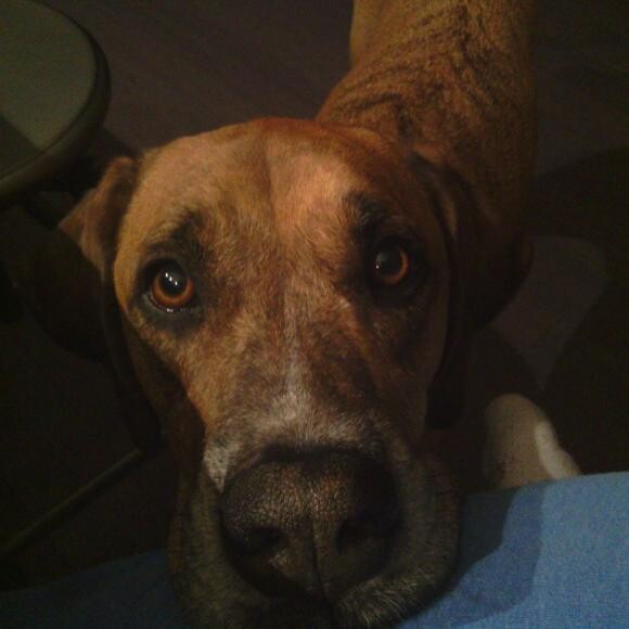 Tucker