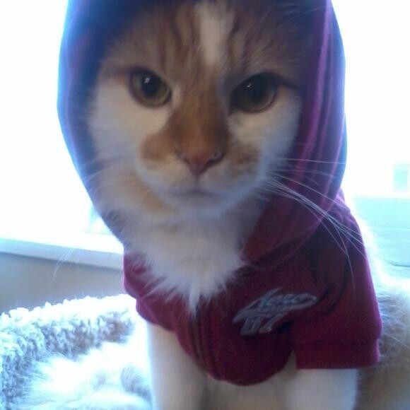 Max