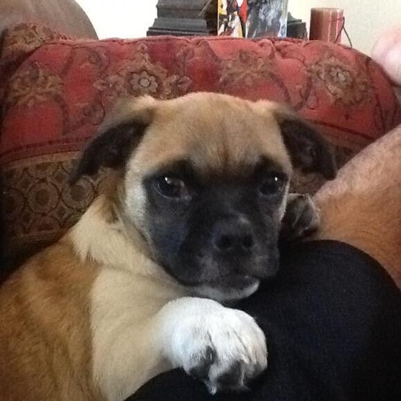 carmelo