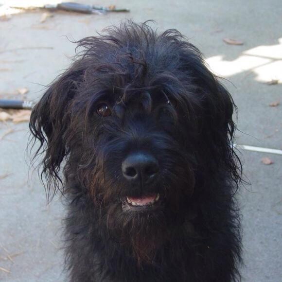 Murphy