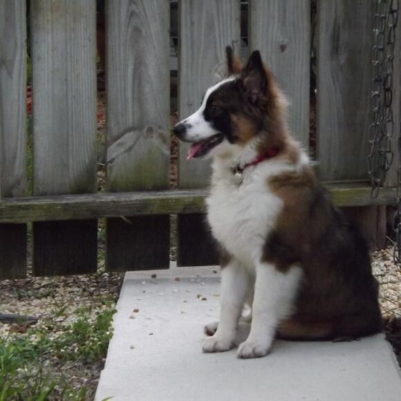 Molly