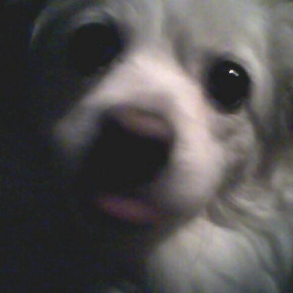 Buffy