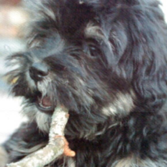 Maggie