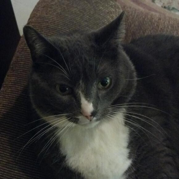 Jack