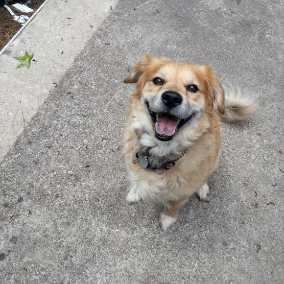 Max